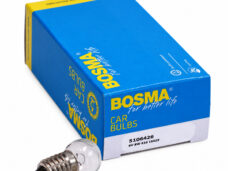 Lamp 6v Bosma 6w Schroef Fitting (glas 15x29) E10 1pcs