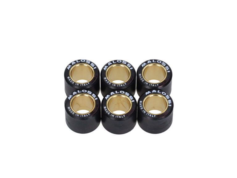 Variorolset Malossi 3.2gr 19x15.5mm Sco Piaggio Nt 669420.t0
