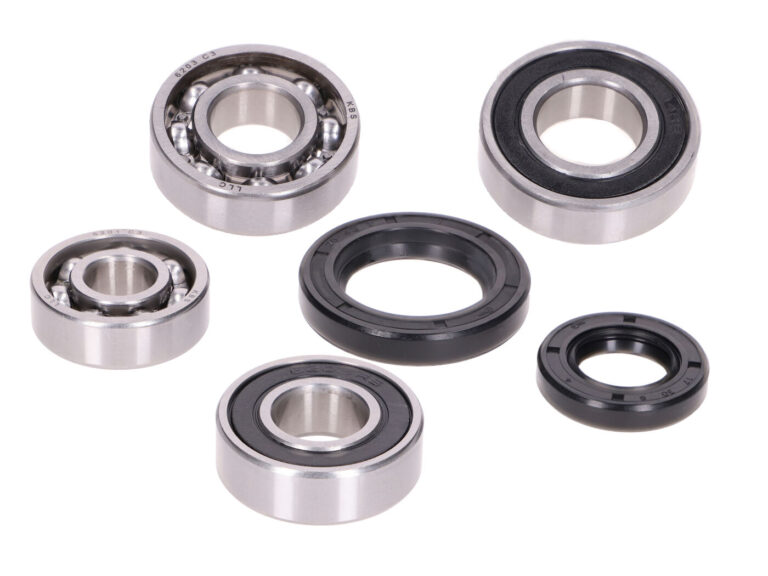 Lager+keerringset Transmissie Krukas 6-delig Hercules, Looxor, Peugeot, Speedfight, Tkr, Viva 42772