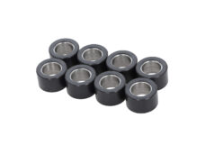 Variorolset Kymco origineel 17.0gr 25x15mm 8pcs AK550i, CV3 22121-LGC6-305