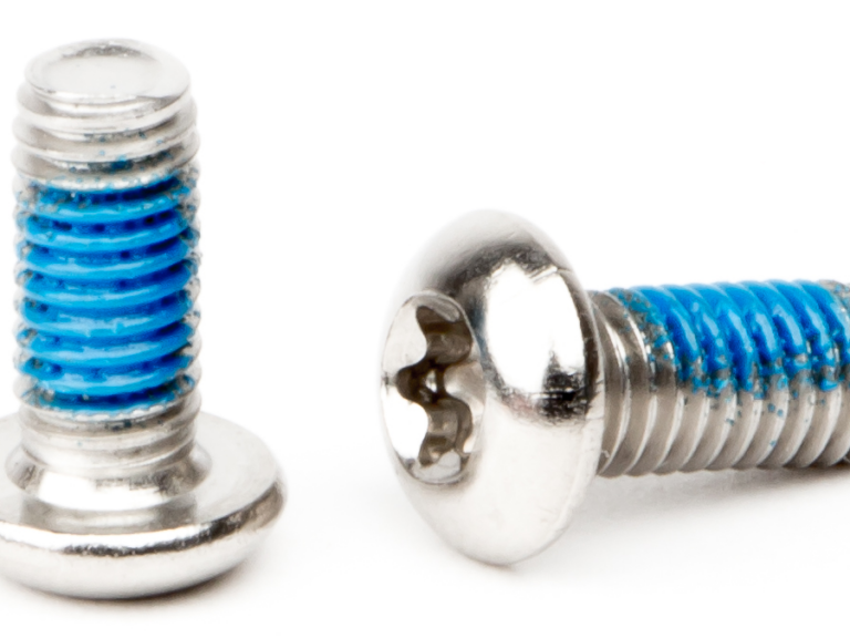 Remschijfboutjes Elvedes M5 × 11 RVS (10 stuks)