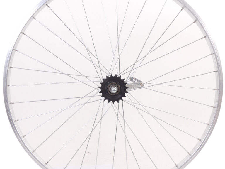 Achterwiel Roland Werke 28"/622 x 24 -  remnaaf Ventura - 36 gaats 13G - zilver