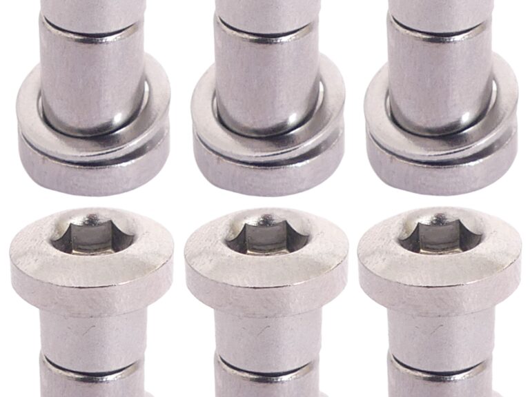 Zadelpenbout Bofix inbus 19 mm - chroom (6 stuks)