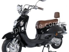WINDSCHERM ISOTTA GRANDE RETRO - NETTO PRIJS