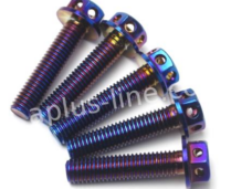 BOUT APLUS M6X30 (10 STUKS) OIL