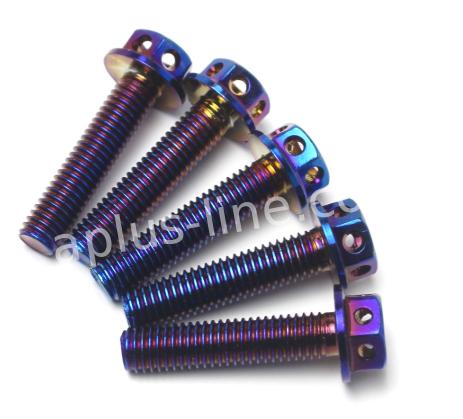 BOUT APLUS M6X30 (10 STUKS) OIL
