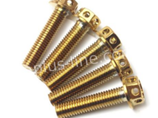 BOUT APLUS M8X30 (10 STUKS) GOLD