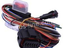 DRAADBOOM ALARM PATROLLINE - UNIVERSEEL