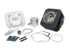 Cilinder Met Kop Polini Racing 47mm Sco Piaggio Ac 140.0181/r