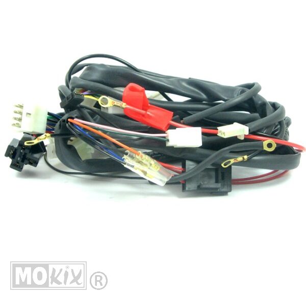 Kabelboom Rieju RS2/RS2-PRO       2006
