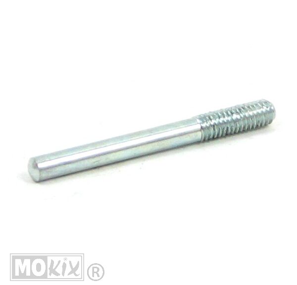 Drukpen Rempomp Achter Rieju MRT 2006 (M6x60)