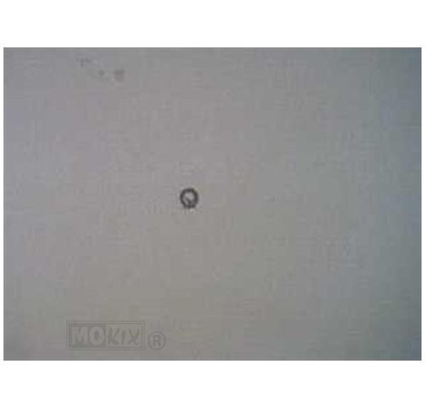 Sluitring 6 RS1             2000 - Rieju