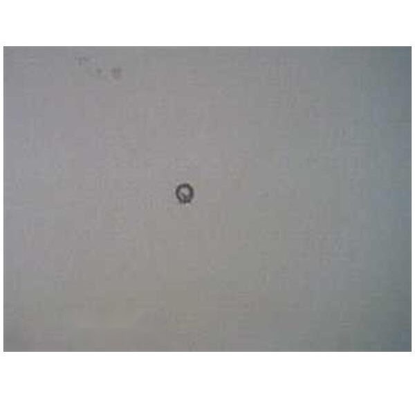 Sluitring 6 RS1 2000 - Rieju