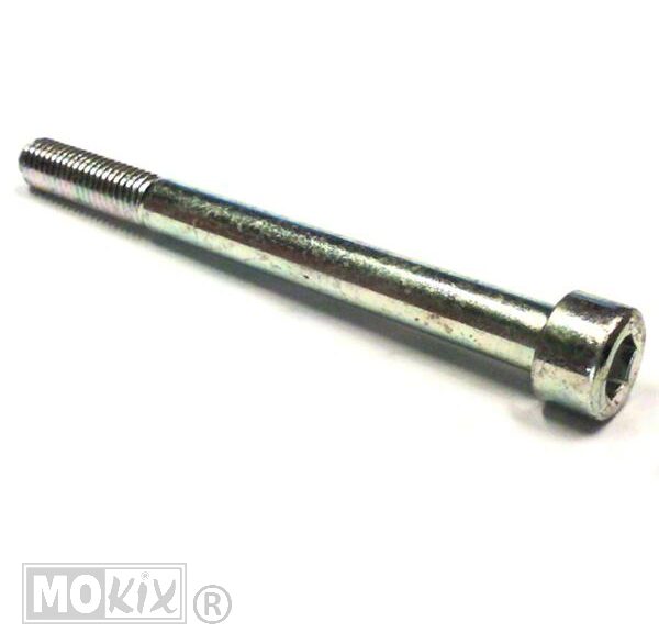 Inbusbout M10x110 Rieju