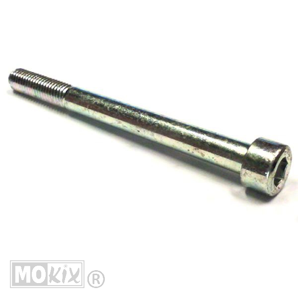 Inbusbout M10x110 Rieju