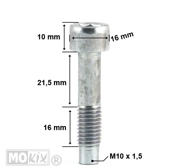 Bout Zijstandaard Rieju MRX/SMX