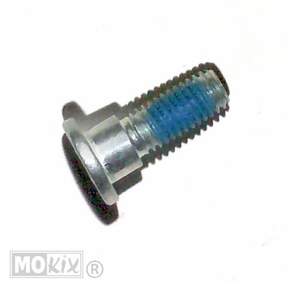 Inbusbout Achterrem Disc MRT 06 - Rieju