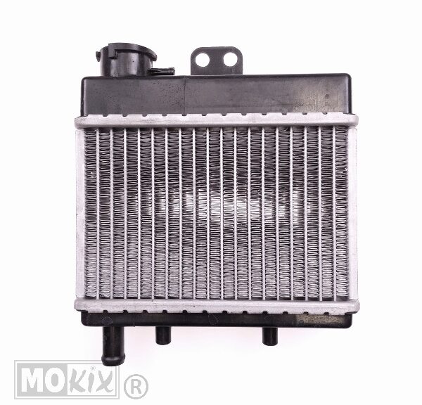 Radiateur Rieju RS3 ORG