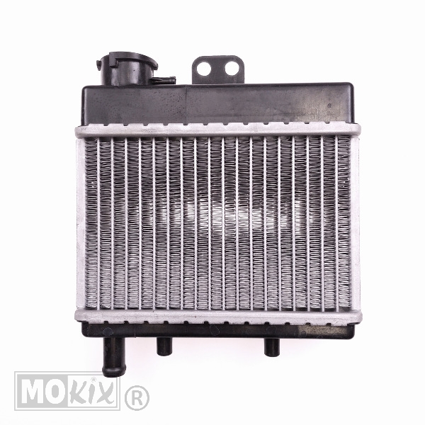 Radiateur Rieju RS3 ORG