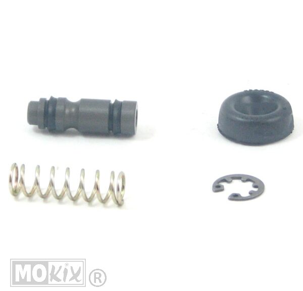 Revisieset Rempomp Achter Rieju MRX 12mm