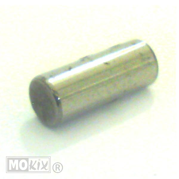 Paspen 4x10 Waterpompdeksel AM-5 - Rieju