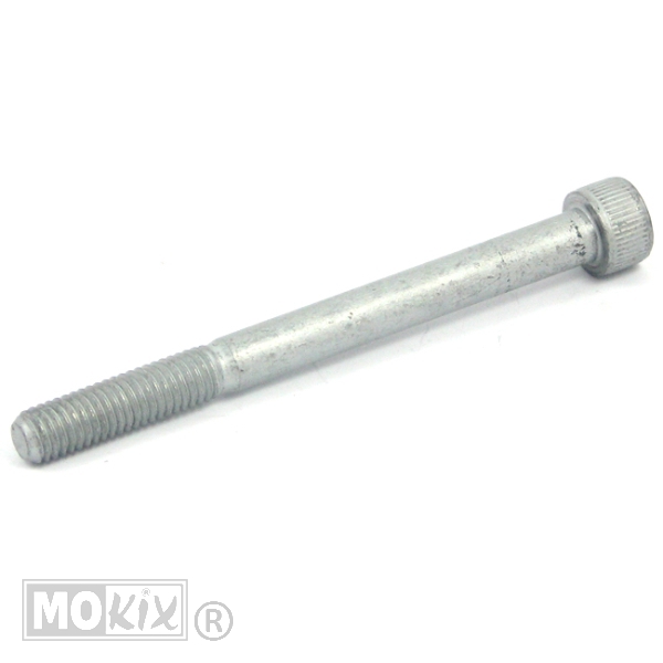 PIA Inbusschroef 8mm 1.25x90 - Piaggio