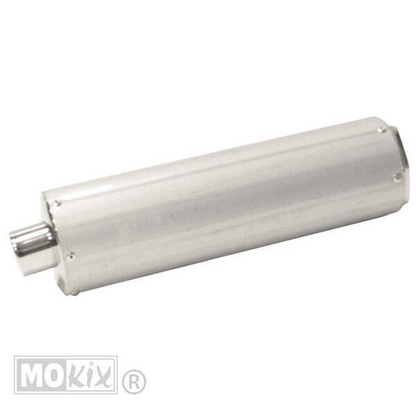 Silencieux Arrière Rieju 4T 125CC
