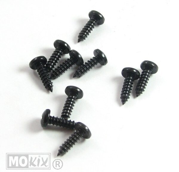 Parkerset 5.5x19 Zwart      10st - Bollard