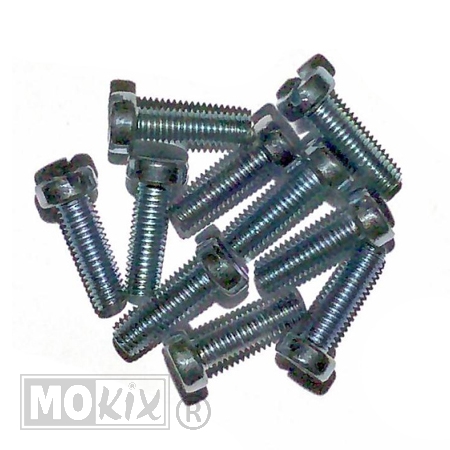 Metaalschroef M5x16 Elvz (10) - Bollard