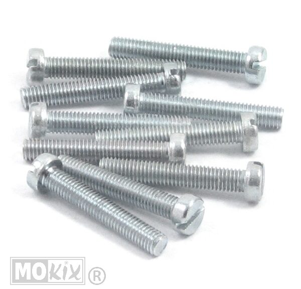 Metaalschroef M5x25 Elvz 10stuks - Bollard