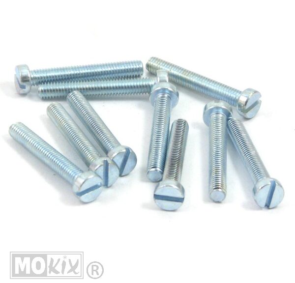 Metaalschroef M6x30 Elvz 10stuks - Bollard