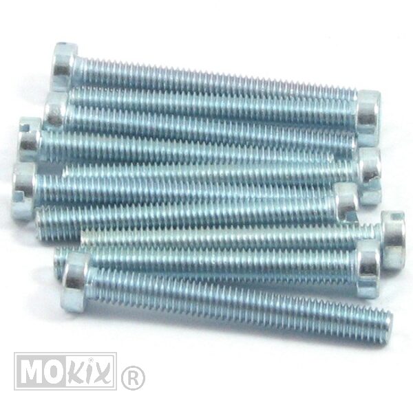 Metaalschroef M6x50 Elvz 10stuks - Bollard