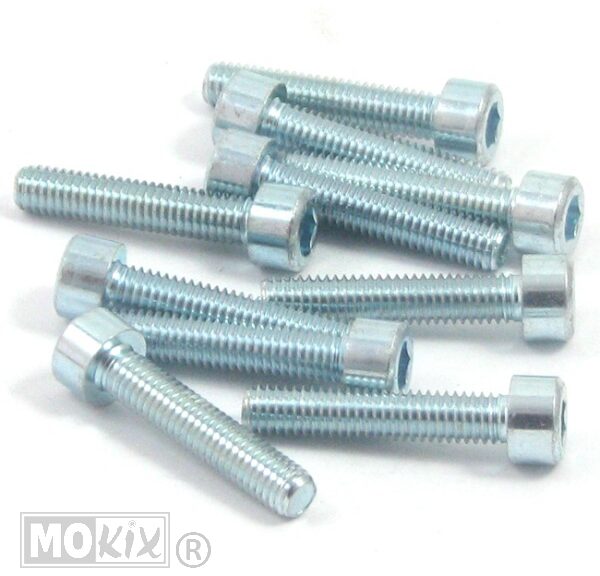 Inbus-Bout M 6x 35 Elvz 10stuks - Bollard