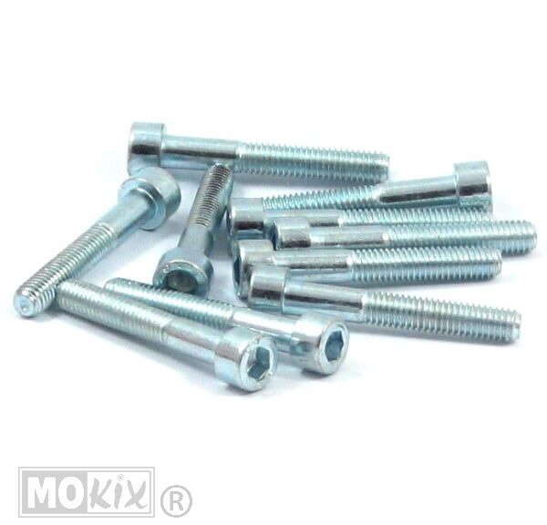 10293 INBUS-BOUT M 6x 40 ELVZ 10stuks
