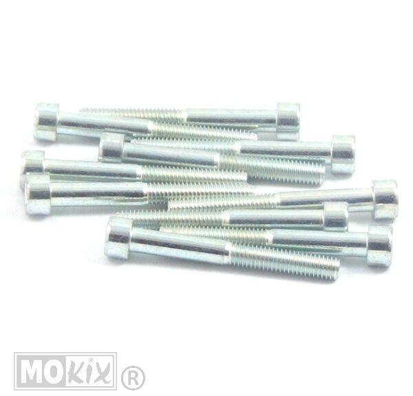 Inbus-Bout M 6x 50 Elvz 10stuks - Bollard