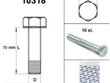 Bout M 6x 70 Elvz 8.8 10stuks - Bollard