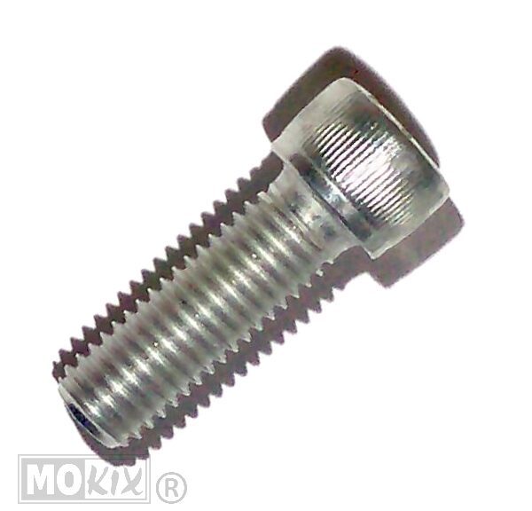 Inbus-Bout M10x30 Elvz 10stuks - Bollard