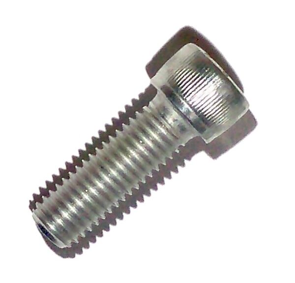 Inbus-Bout M10x30 Elvz 10stuks - Bollard