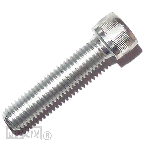 Allen Bolt M10x45 Elvz 10 pieces - Bollard