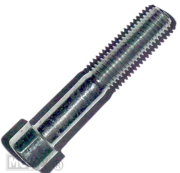 Inbus-Bout M10x60 Elvz 10stuks - Bollard