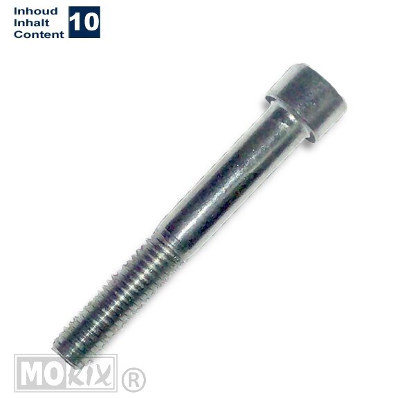 Inbus-Bout M10x70 Elvz 10stuks - Bollard