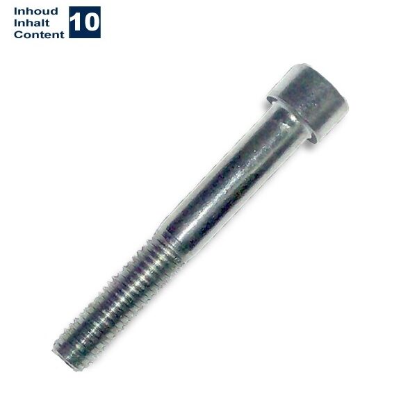 Inbus-Bout M10x70 Elvz 10stuks - Bollard