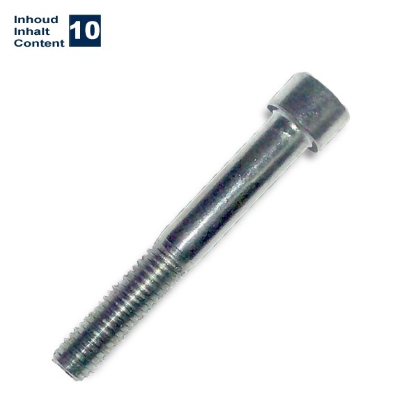 Inbus-Bout M10x70 Elvz 10stuks - Bollard