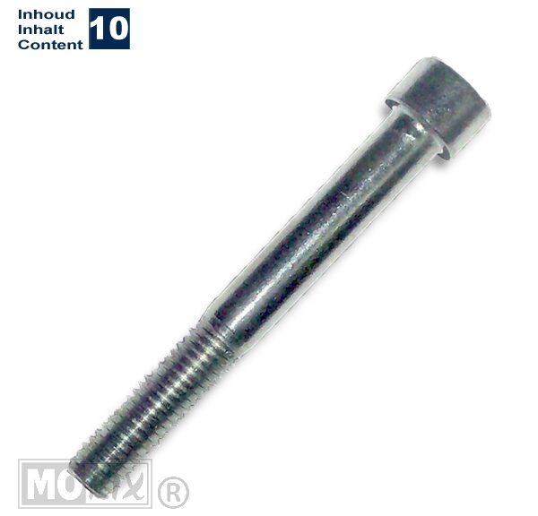 Inbus-Bout M10x80 Elvz 10stuks - Bollard