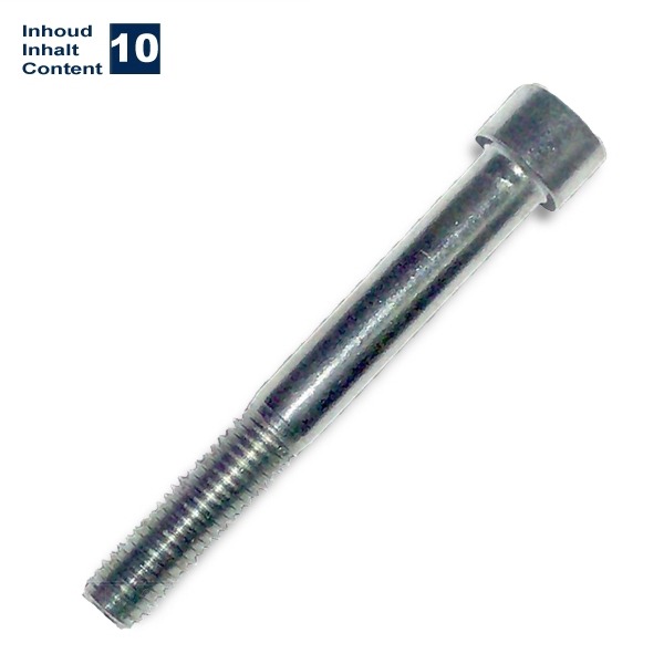 Inbus-Bout M10x80 Elvz 10stuks - Bollard