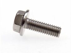 Uitlaat Bout Minarelli Scooter RVS/Inox 6x18 (1) - Bollard