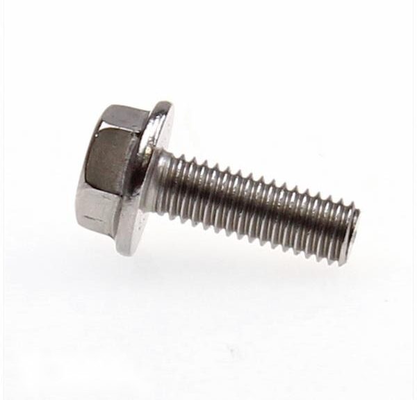 Uitlaat Bout Minarelli Scooter RVS/Inox 6x18 (1) - Bollard