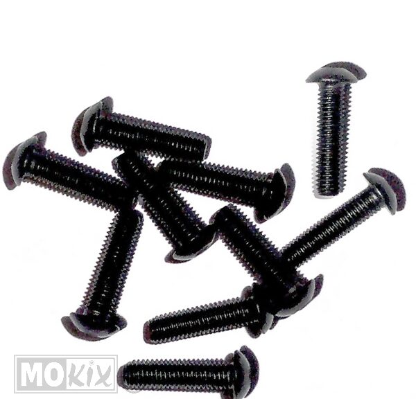 Metaalschroef M5x20  Zwart Inbus Bolkop 10stuks - Bollard