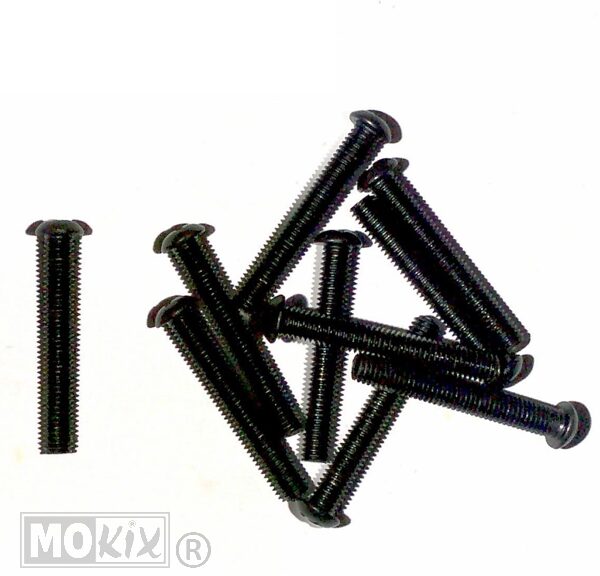Metaalschroef M5x35 Kruiskop Zwart 10stuks - Bollard