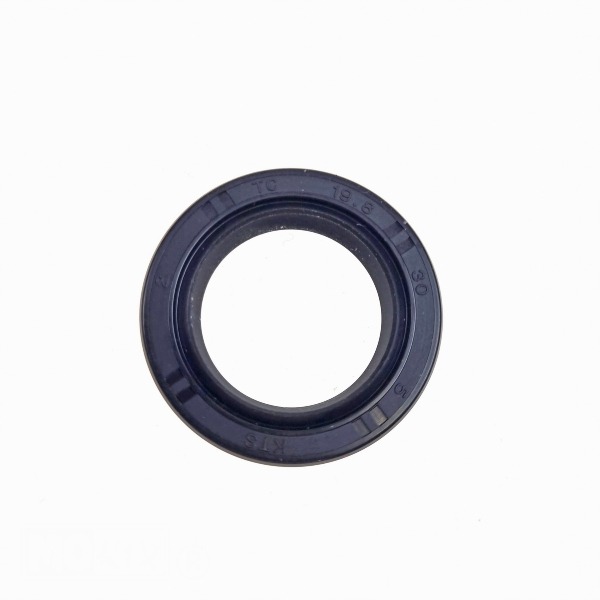 Keerring 19.8x30 x5 DGS F11 TC